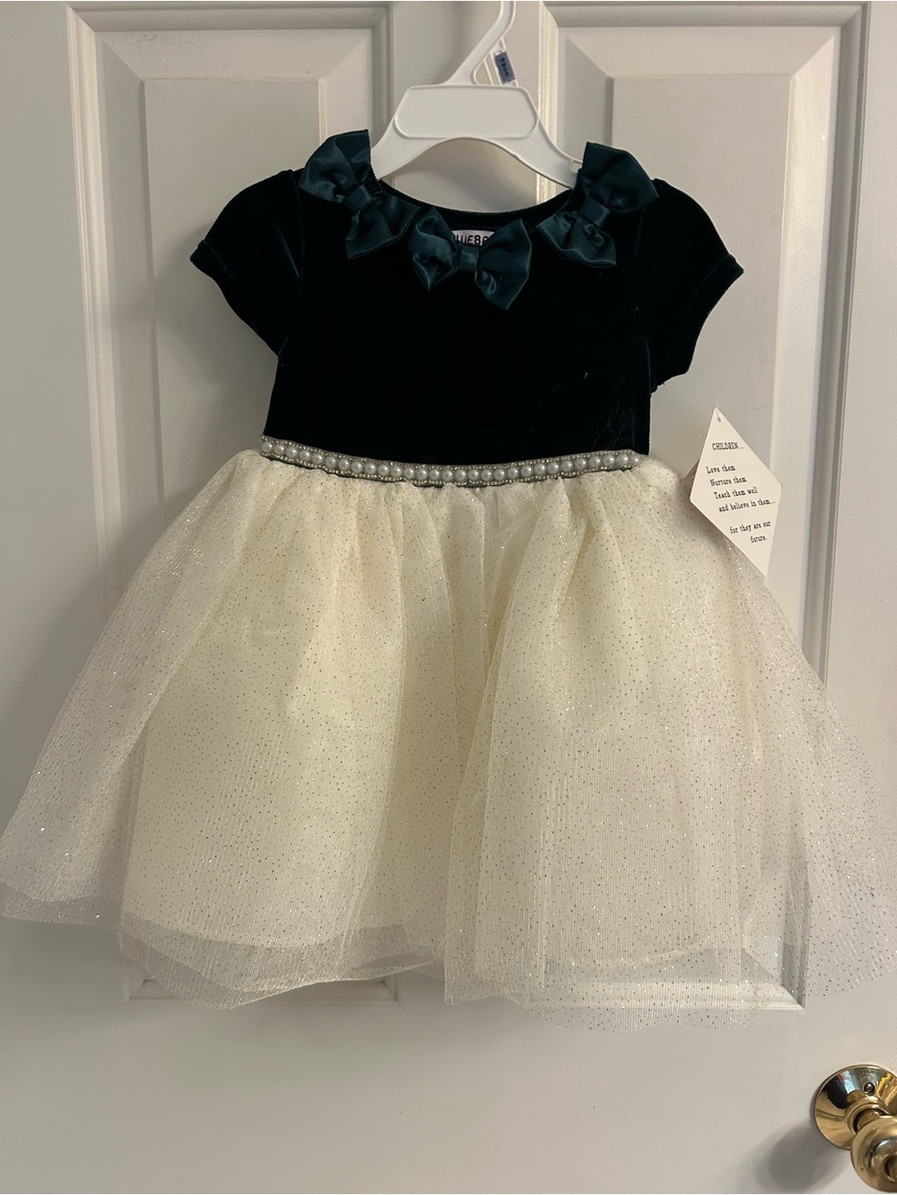NWT-Blueberi Boulevard Dark Green Velvet & Cream Tulle Pearl Waist Party Dress
